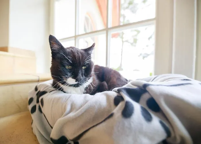 Manor Ξενοδοχείο 3*