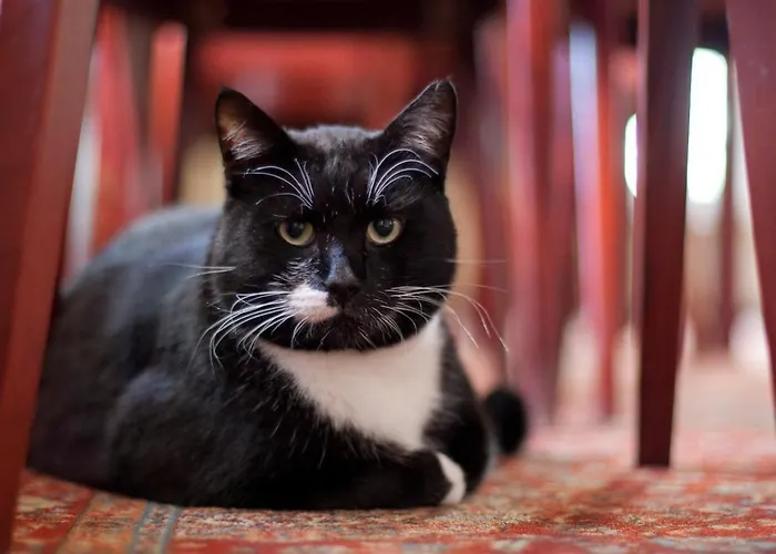 Manor Ξενοδοχείο Saka